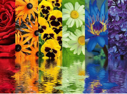 RAVENSBURGER Puzzle Kvetinové vzory 500 dielikov