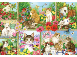 BLUEBIRD Puzzle Mačky a mačiatka 1000 dielikov