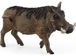 SCHLEICH Wild Life® 14843 Prasa bradavičnaté