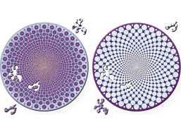 CURIOSI Obojstranné drevené puzzle Double: Body 88 dielikov