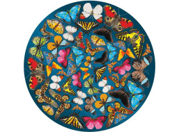 CURIOSI Obojstranné drevené puzzle Double: Motýle 424 dielikov