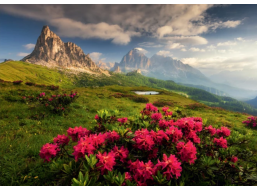 DINO Puzzle Talianskej Dolomity 2000 dielikov