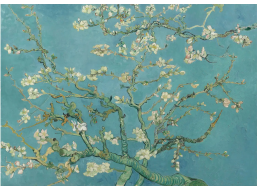 ANATOLIAN Puzzle Mandľový kvet XL 700 dielikov