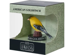 Mojo Stehlík americký v krabičke