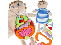 Bábika na učenie anatómie - chlapec