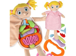 Bábika na učenie anatómie - dievča