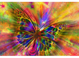 BLUEBIRD Puzzle Pestrofarebný motýľ 1000 dielikov