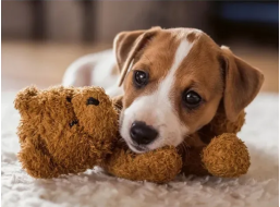 RAVENSBURGER Puzzle Hrejivé objatie 500 dielikov