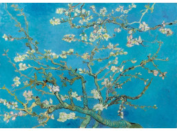 BLUEBIRD Puzzle Mandľový kvet 1000 dielikov