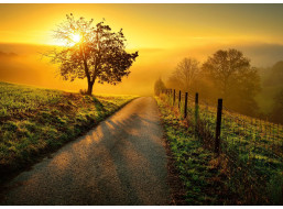 RAVENSBURGER Puzzle Ráno v zlatých lúčoch 1000 dielikov