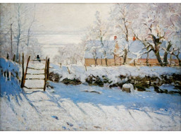 BLUEBIRD Puzzle Straka 1000 dielikov