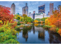 DINO Puzzle Central Park 500 dielikov