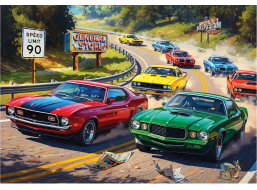 ANATOLIAN Puzzle Milovník rýchlosti XL 260 dielikov