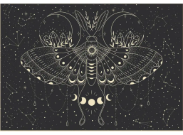 INTERDRUK Puzzle Galaxy: Mesačný motýľ 500 dielikov