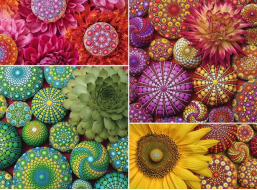 RAVENSBURGER Puzzle Mandala kvety 500 dielikov