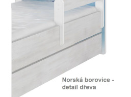 Nórska borovice - detail