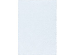 Kusový koberec Sydney Shaggy 3000 white