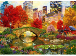 BLUEBIRD Puzzle Central Park, New York 1000 dielikov