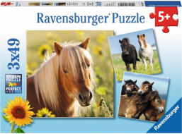 RAVENSBURGER Puzzle Poníky 3x49 dielikov