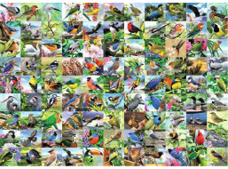 RAVENSBURGER Puzzle 99 úchvatných vtákov EXTRA 300 dielikov