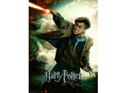 RAVENSBURGER Puzzle Harry Potter a relikvie smrti XXL 100 dielikov