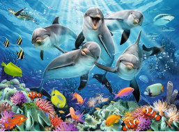 RAVENSBURGER Puzzle Delfíny pri korálovom útese 500 dielikov