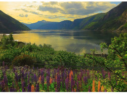 RAVENSBURGER Puzzle Fjord v Nórsku 1000 dielikov