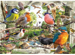 RAVENSBURGER Puzzle Naši operení priatelia 1000 dielikov