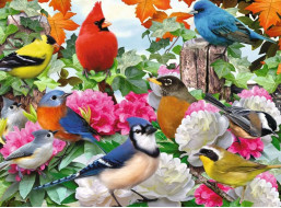 RAVENSBURGER Puzzle Záhradné vtáky 500 dielikov