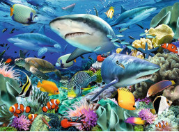RAVENSBURGER Puzzle Žraločí útes XXL 100 dielikov