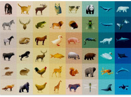 CLOUDBERRIES Puzzle Fauna 1000 dielikov