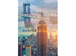 TREFL Puzzle New York za úsvitu 1000 dielikov