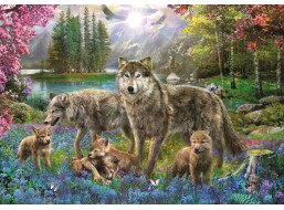 TREFL Puzzle Vlčia rodina 1000 dielikov