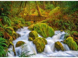 CHERRY PAZZI Puzzle Lesný vodopád 1000 dielikov