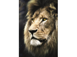 TREFL Puzzle Lev 1500 dielikov