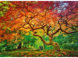 CHERRY PAZZI Puzzle Koruna stromu 1000 dielikov