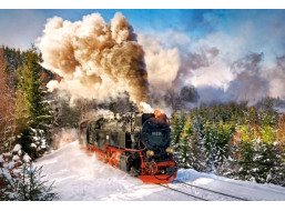 CASTORLAND Puzzle Parný vlak 1000 dielikov