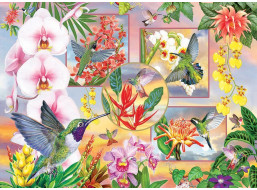 COBBLE HILL Puzzle Kolibríky 500 dielikov
