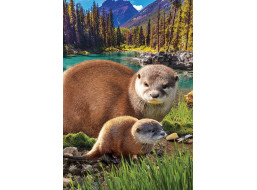 EUROGRAPHICS Puzzle Save Our Planet: Vydry XL 250 dielikov