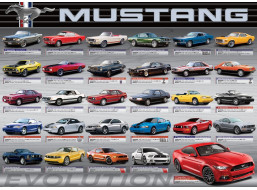 EUROGRAPHICS Puzzle Vývoj Fordu Mustang 1000 dielikov