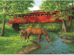 EUROGRAPHICS Puzzle Most pri Sweet Water 1000 dielikov