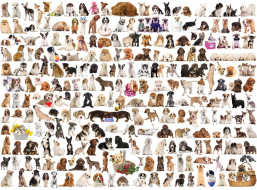 EUROGRAPHICS Puzzle Svet psov 1000 dielikov