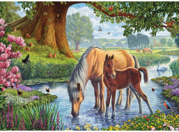 EUROGRAPHICS Puzzle Fellskí poníky 1000 dielikov