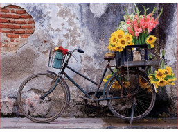 EDUCA Puzzle Bicykel s kvetinami 500 dielikov