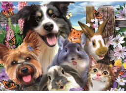 EDUCA Puzzle Vtipné selfie 500 dielikov