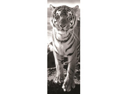 DINO Vertikálne puzzle Tiger 1000 dielikov