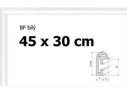 BFHM Plastový rám 45x30cm - biely