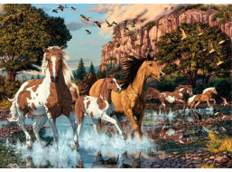 DINO Puzzle Secret Collection: Kone 1000 dielikov
