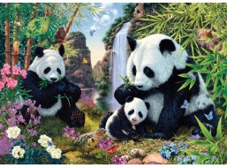 DINO Puzzle Secret Collection: Pandy 1000 dielikov