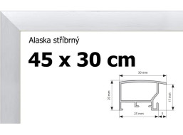BFHM Alaska hliníkový rám 45x30cm - strieborný